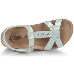 Citrouille et Compagnie - PAPOTI