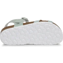 Citrouille et Compagnie - PAPOTI