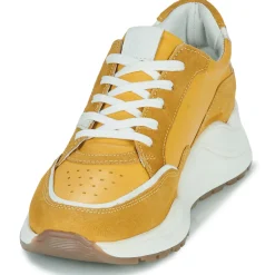 Citrouille et Compagnie - MILKO Jaune Outlet