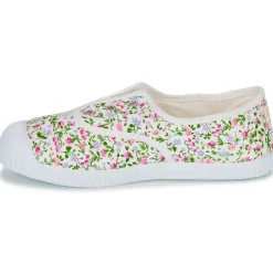 Citrouille et Compagnie - WOODEN