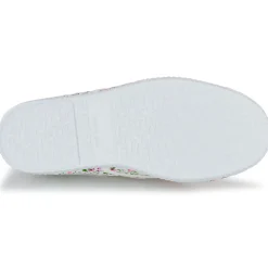 Citrouille et Compagnie - WOODEN