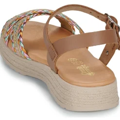 Citrouille et Compagnie - PIXI