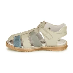 Citrouille et Compagnie - ZIDOU