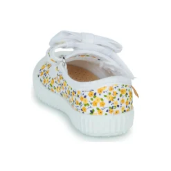 Citrouille et Compagnie - OZIMINI