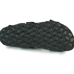 Citrouille et Compagnie - KELATU