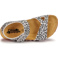 Citrouille et Compagnie - BELLI JOE