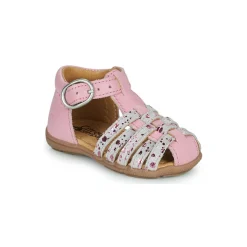 Citrouille et Compagnie - RINE