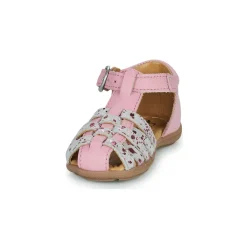 Citrouille et Compagnie - RINE