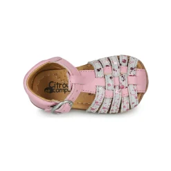 Citrouille et Compagnie - RINE