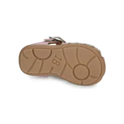 Citrouille et Compagnie - RINE