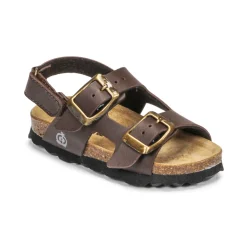 Citrouille et Compagnie - KELATU