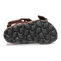 Citrouille et Compagnie - KELATU