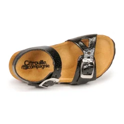 Citrouille et Compagnie - RELUNE Noirserpent Clearance