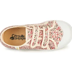 Citrouille et Compagnie - GLASSIA