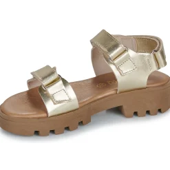 Citrouille et Compagnie - PIANA Gold