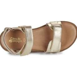 Citrouille et Compagnie - PIANA Gold