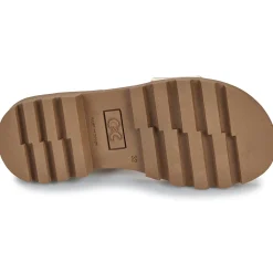 Citrouille et Compagnie - PIANA Gold