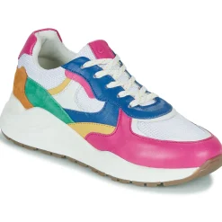 Citrouille et Compagnie - NUMANJI Clearance