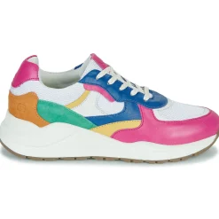 Citrouille et Compagnie - NUMANJI Clearance