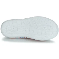 Citrouille et Compagnie - GLASSIA