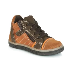 Citrouille et Compagnie - HARCO Camel