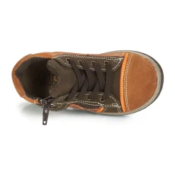 Citrouille et Compagnie - HARCO Camel