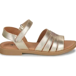 New Citrouille et Compagnie - CŒUR Gold