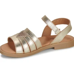 New Citrouille et Compagnie - CŒUR Gold