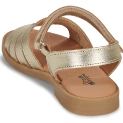 New Citrouille et Compagnie - CŒUR Gold