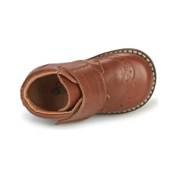 Hot Citrouille et Compagnie - PROYAL Camel