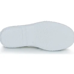 Citrouille et Compagnie - WOODEN