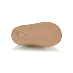 Citrouille et Compagnie - LOKO