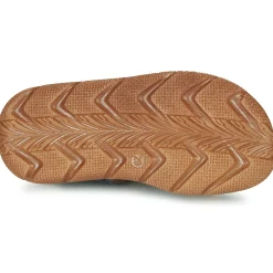 Citrouille et Compagnie - GLENO