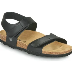 Citrouille et Compagnie - BELLI JOE Noir