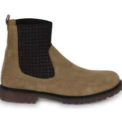 Citrouille et Compagnie - OISO