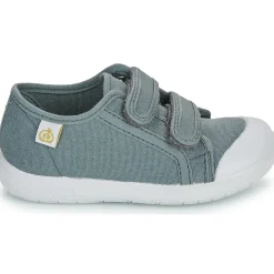 New Citrouille et Compagnie - GLASSIA Gris