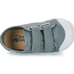 New Citrouille et Compagnie - GLASSIA Gris