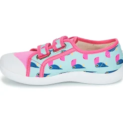 Citrouille et Compagnie - GLASSIA