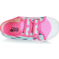 Citrouille et Compagnie - GLASSIA