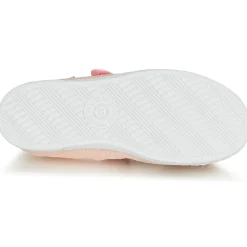 Citrouille et Compagnie - APSUT Rose Hot