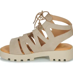 Citrouille et Compagnie - VELOCI