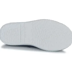 Citrouille et Compagnie - WOODEN Marine Best