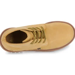 Citrouille et Compagnie - AGORA