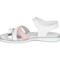 Citrouille et Compagnie - IZOEGL New