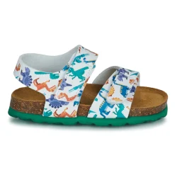 Citrouille et Compagnie - BELLI JOE