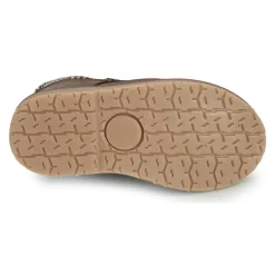 Citrouille et Compagnie - JAMBOUT