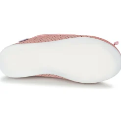 Citrouille et Compagnie - GERRAGO Rose Sale