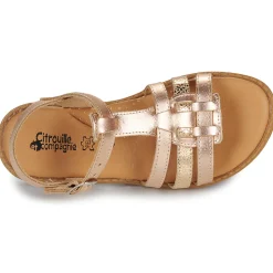 Citrouille et Compagnie - ROLUI