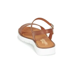 Hot Citrouille et Compagnie - GAPOTI Camel