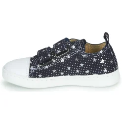 Citrouille et Compagnie - NADIR